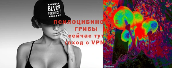 мескалин Богородицк