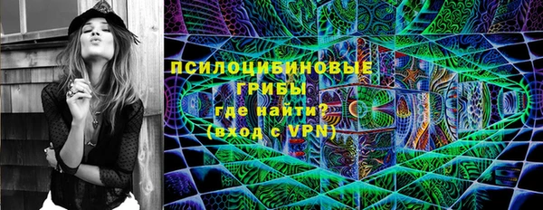 ALPHA PVP Бородино