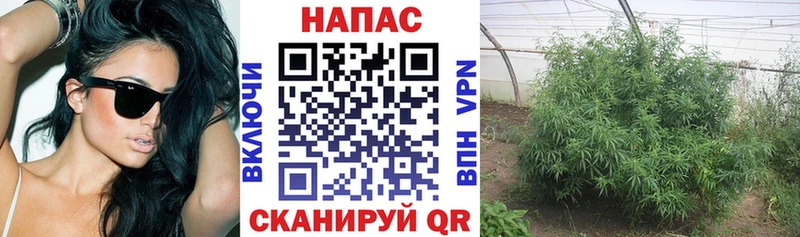 Бошки Шишки LSD WEED  hydra вход  Данилов 